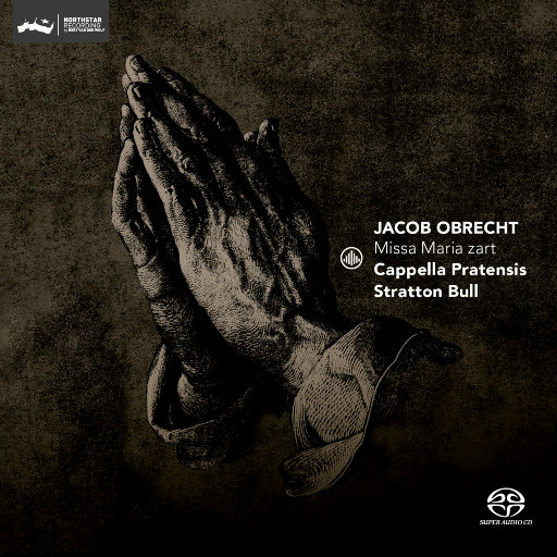 系统爆款小狐导航
